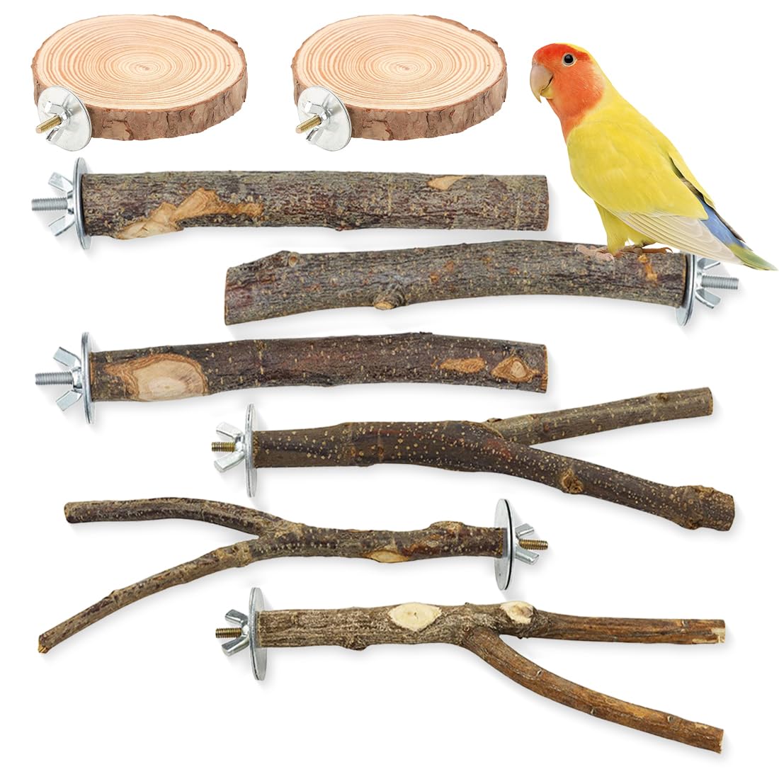 Sitzstangen für Wellensittiche